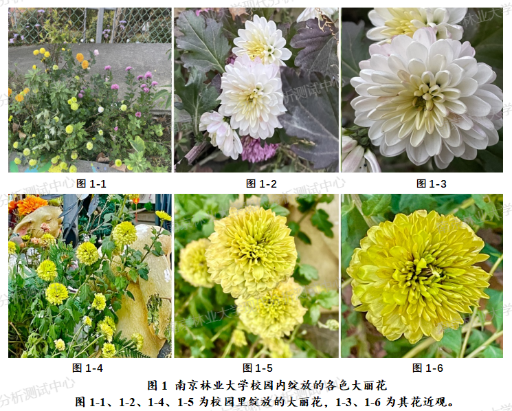 1(带水印)