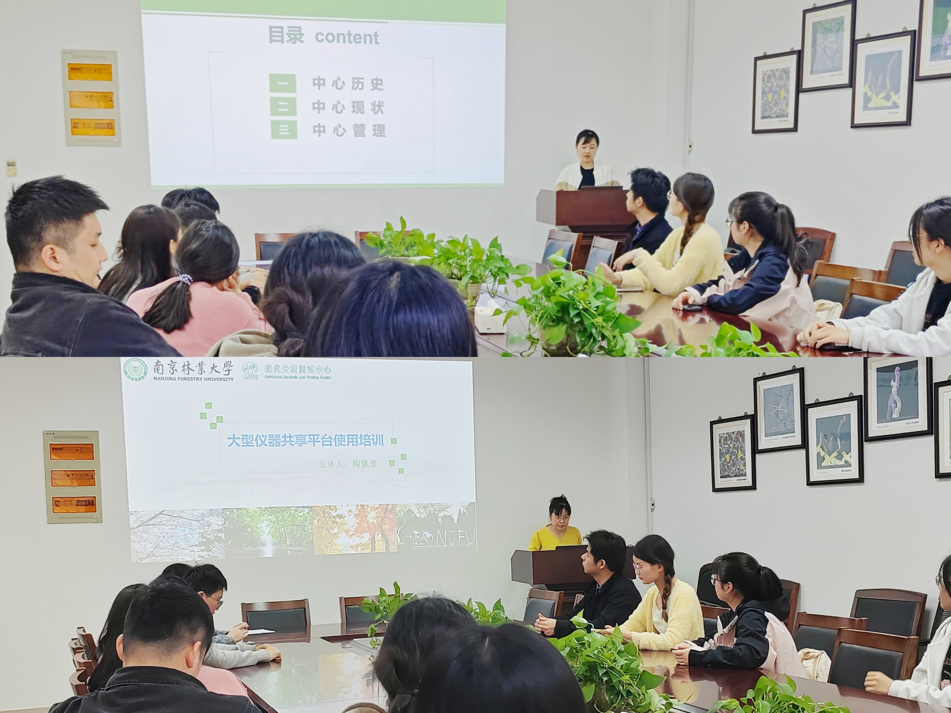 MEITU_20241114_162949473